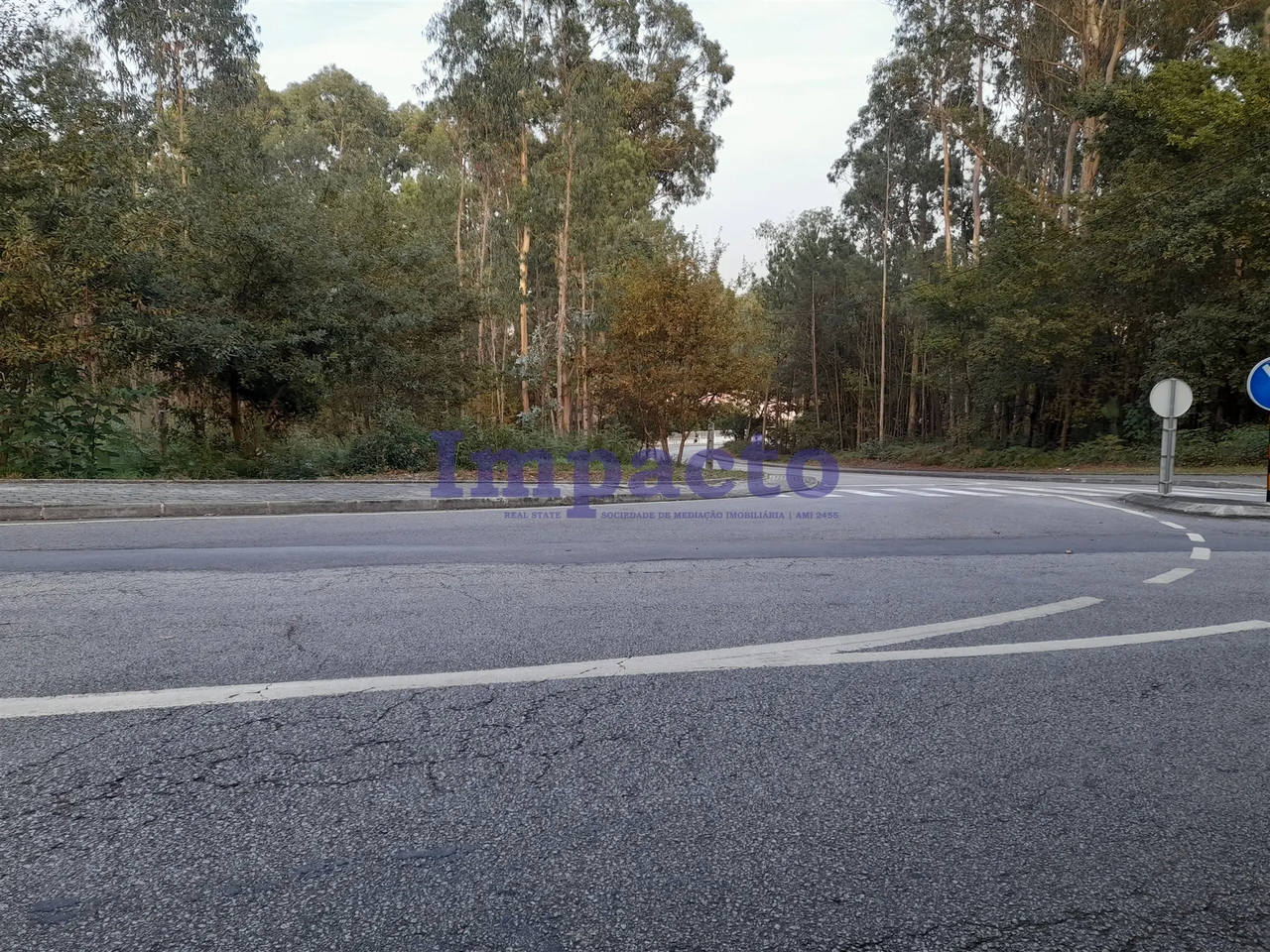Terreno R�stico - Madail, Oliveira de Azem�is, Aveiro