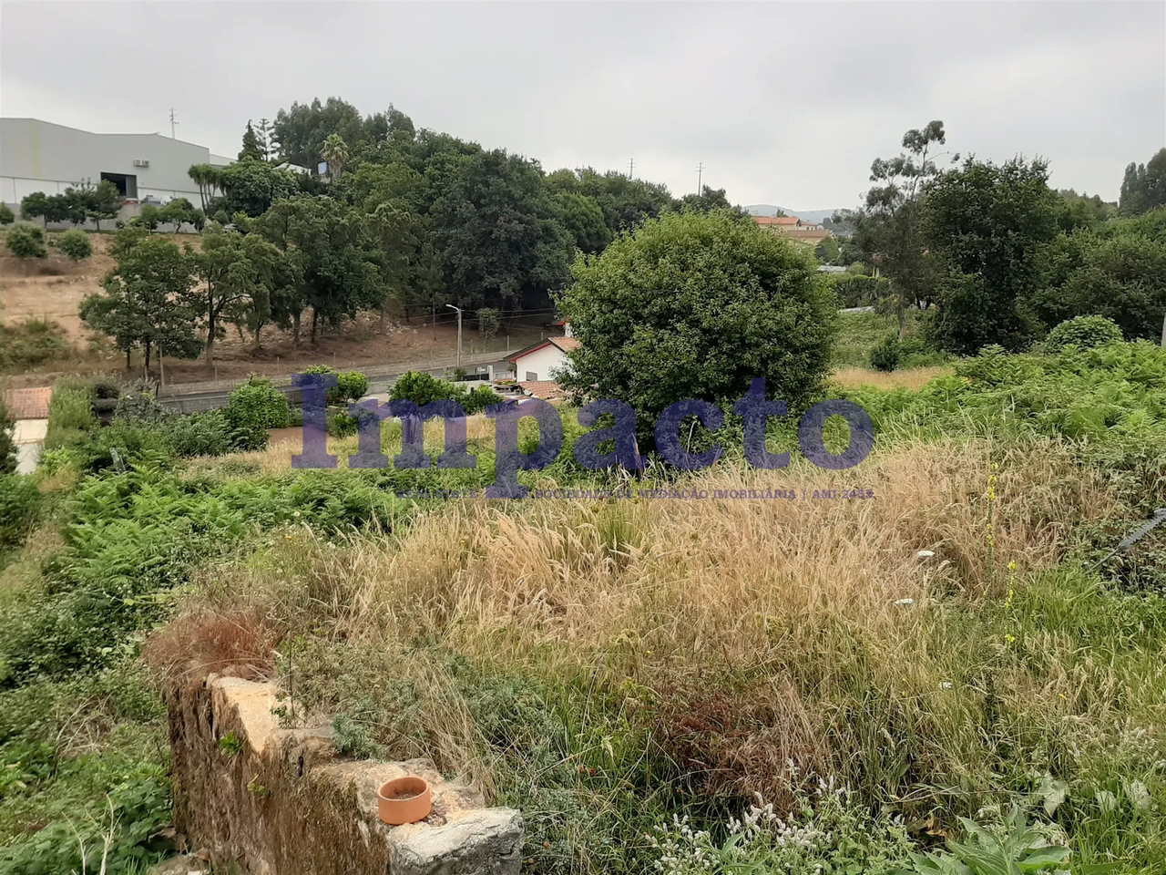 Terreno R�stico - S�o Roque, Oliveira de Azem�is, Aveiro