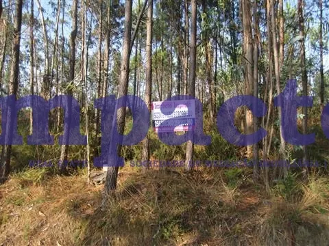 Terreno Rstico - Pigeiros, Santa Maria da Feira, Aveiro