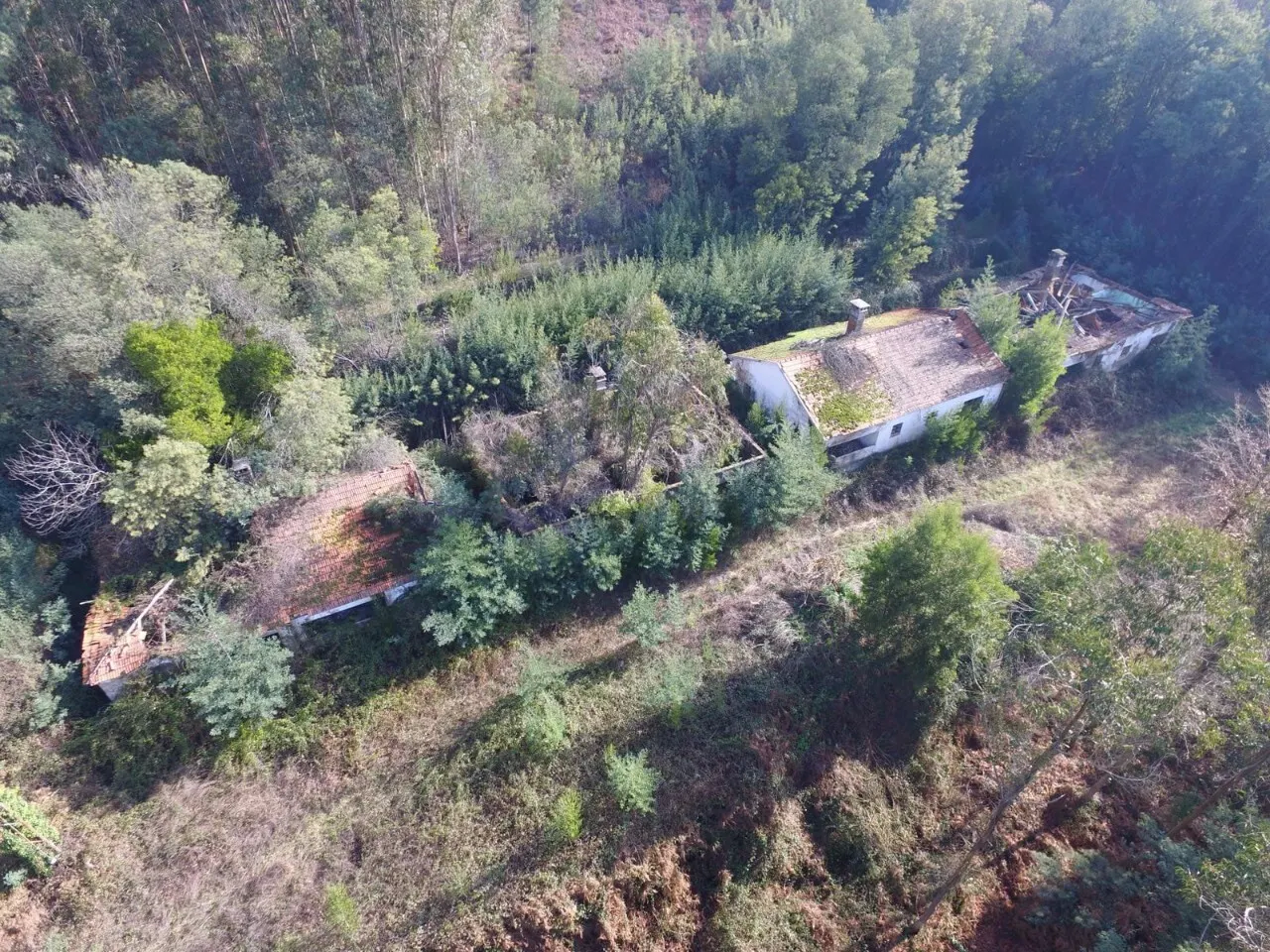 Quinta > T6 - Palmaz, Oliveira de Azemis, Aveiro