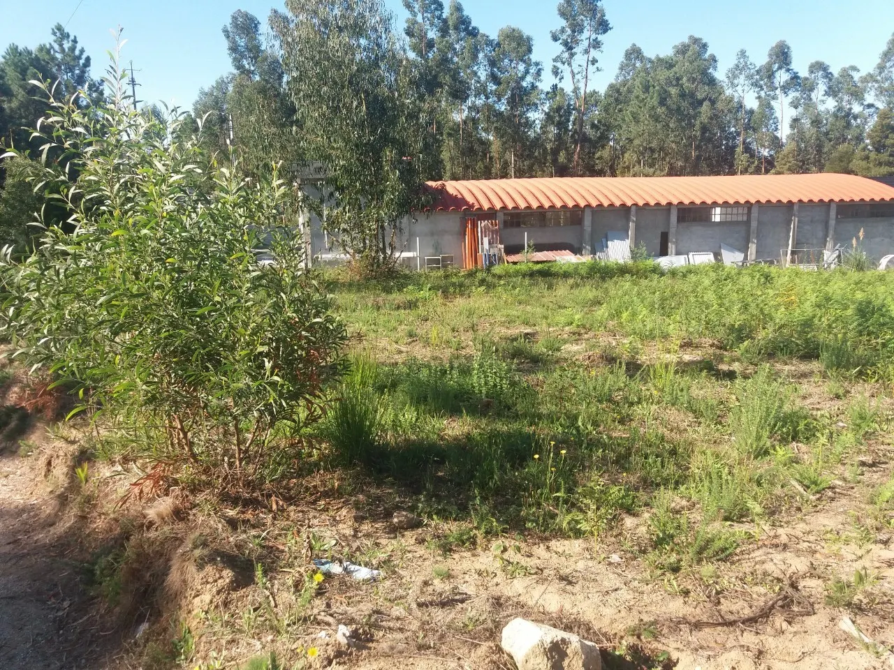 Terreno Rstico - Lobo, Santa Maria da Feira, Aveiro