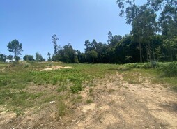 Terreno Rstico - Souto, Santa Maria da Feira, Aveiro