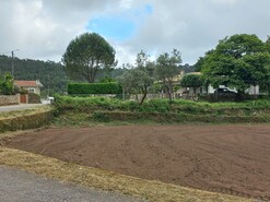 Terreno Rstico - Escariz, Arouca, Aveiro