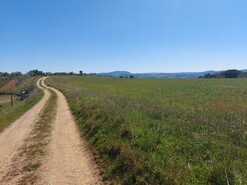 Terreno Rstico - Castro Vicente, Mogadouro, Bragana