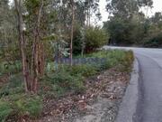 Terreno Rstico T0 - Santiago de Riba-Ul, Oliveira de Azemis, Aveiro - Miniatura: 9/9
