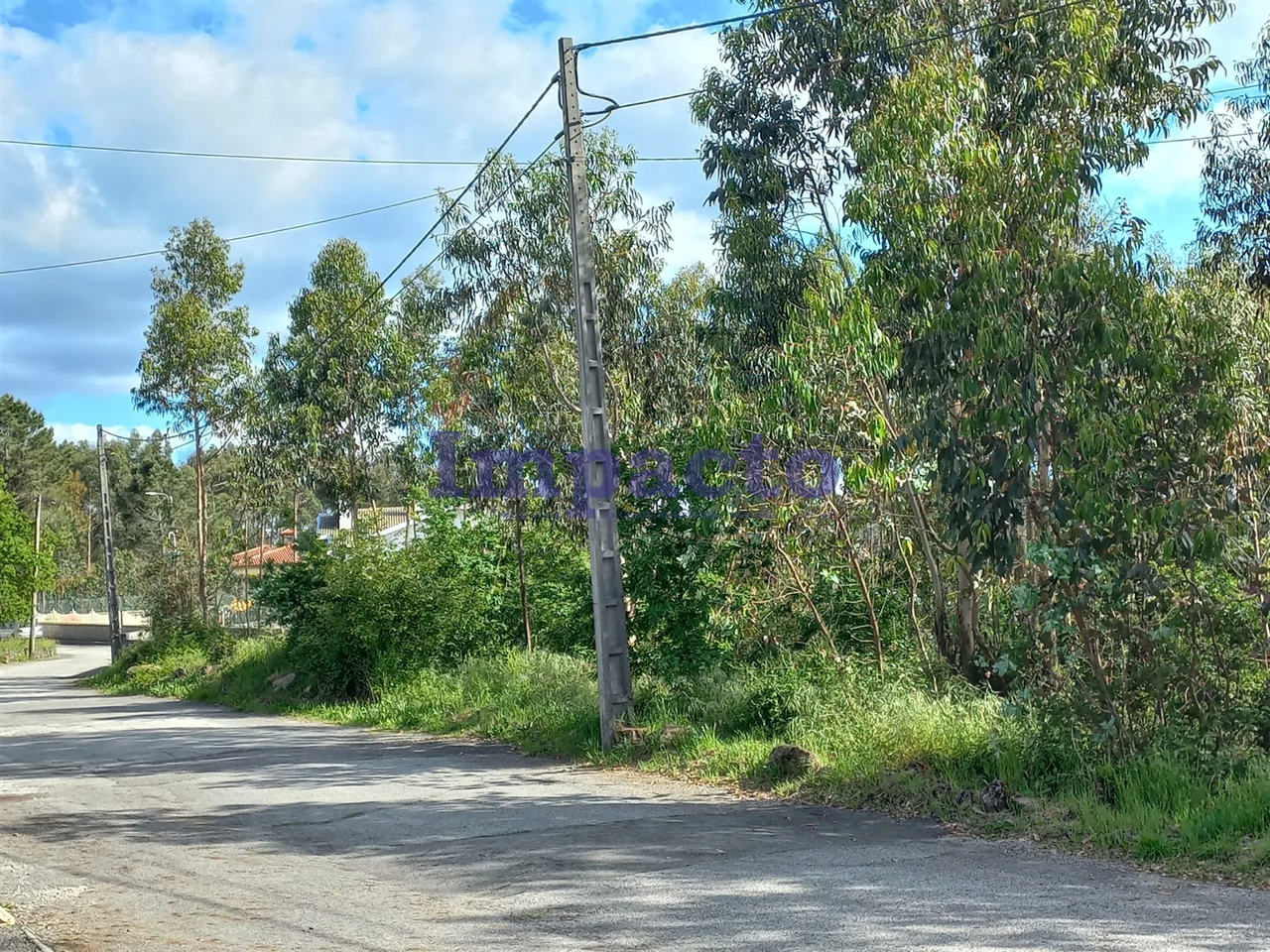 Terreno R�stico - Escariz, Arouca, Aveiro - Miniatura: 5/7