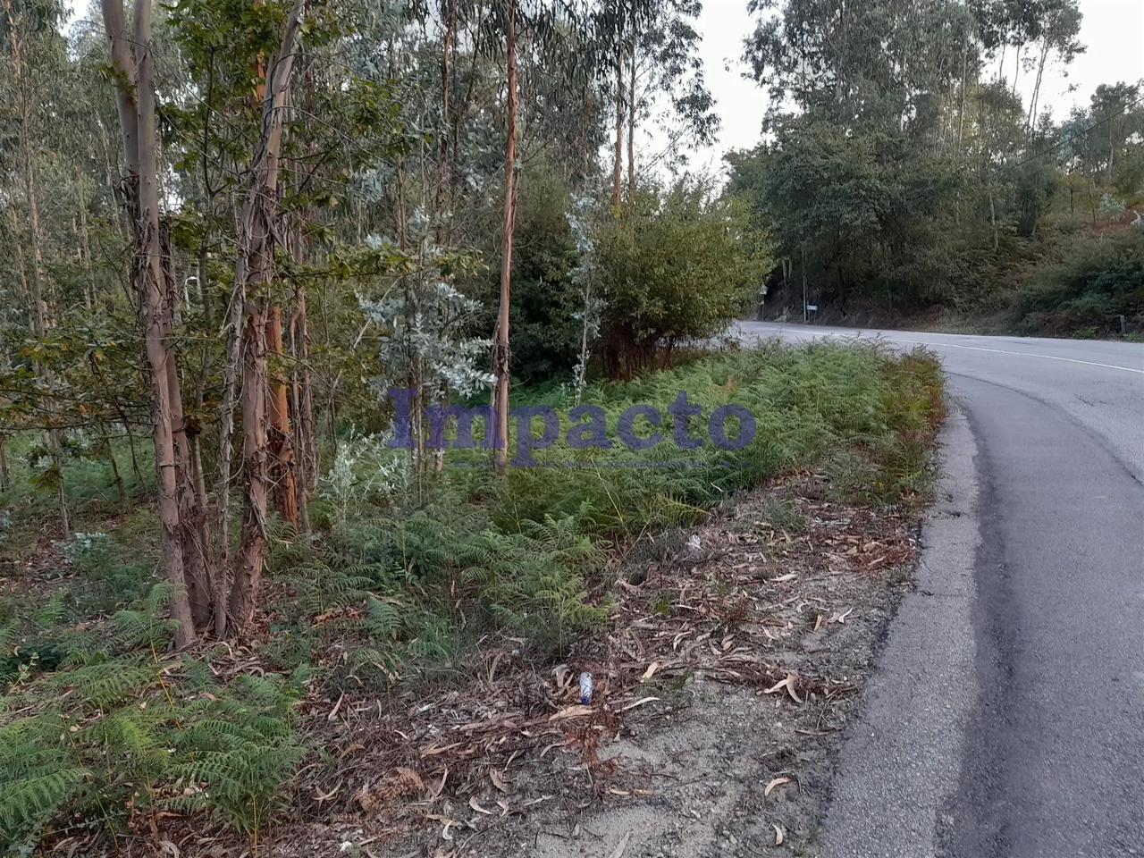 Terreno R�stico - Madail, Oliveira de Azem�is, Aveiro - Miniatura: 1/7