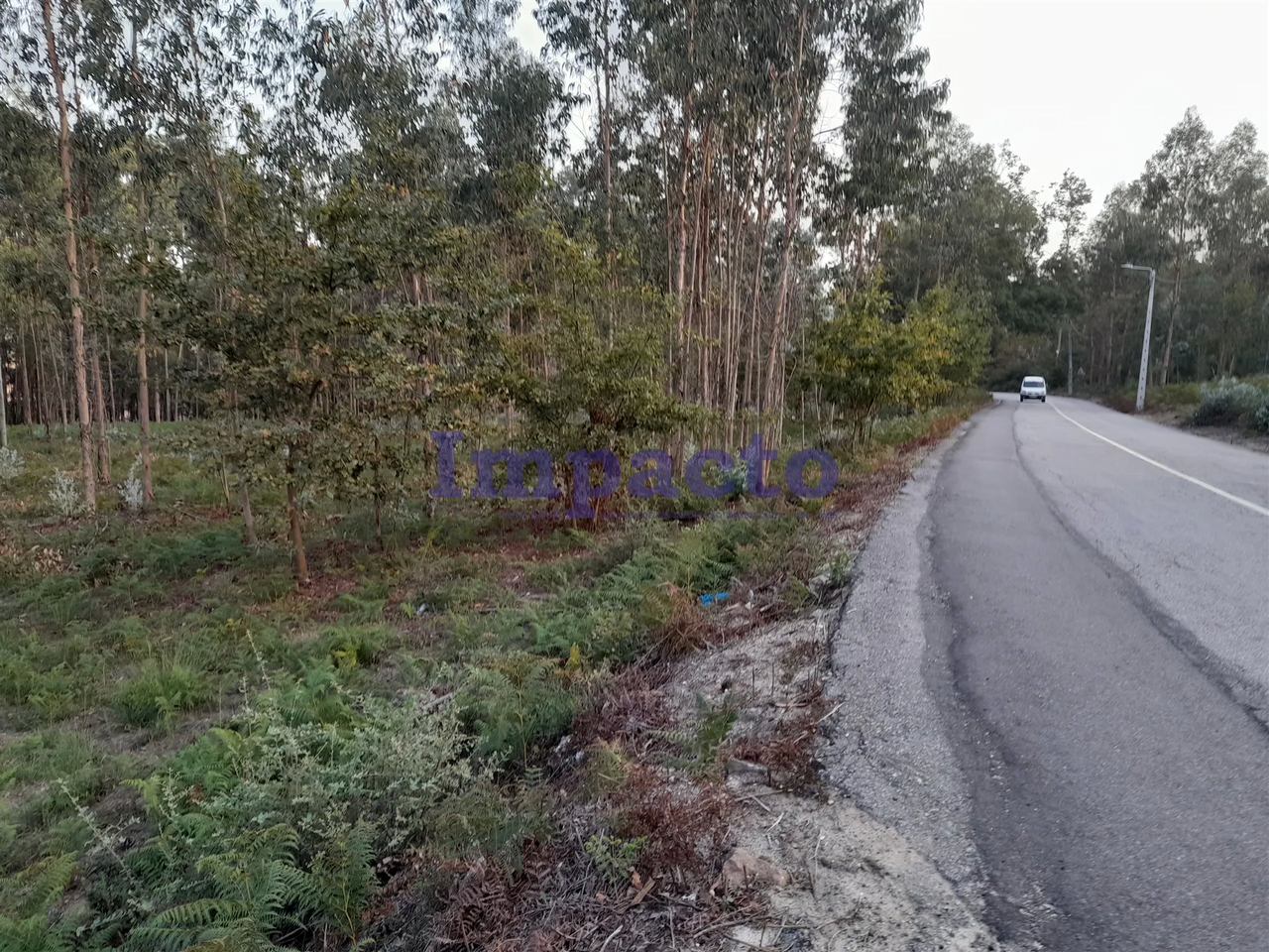 Terreno R�stico - Madail, Oliveira de Azem�is, Aveiro - Miniatura: 4/7