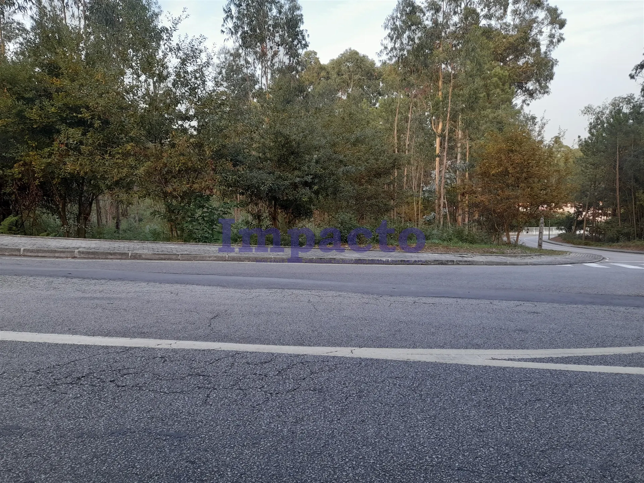 Terreno R�stico - Madail, Oliveira de Azem�is, Aveiro - Miniatura: 7/7