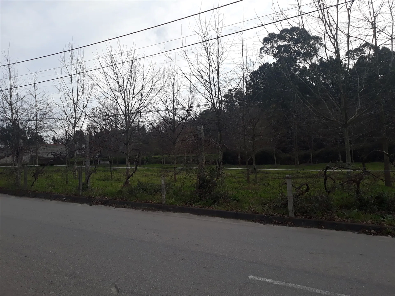 Terreno R�stico - Cesar, Oliveira de Azem�is, Aveiro - Miniatura: 1/5
