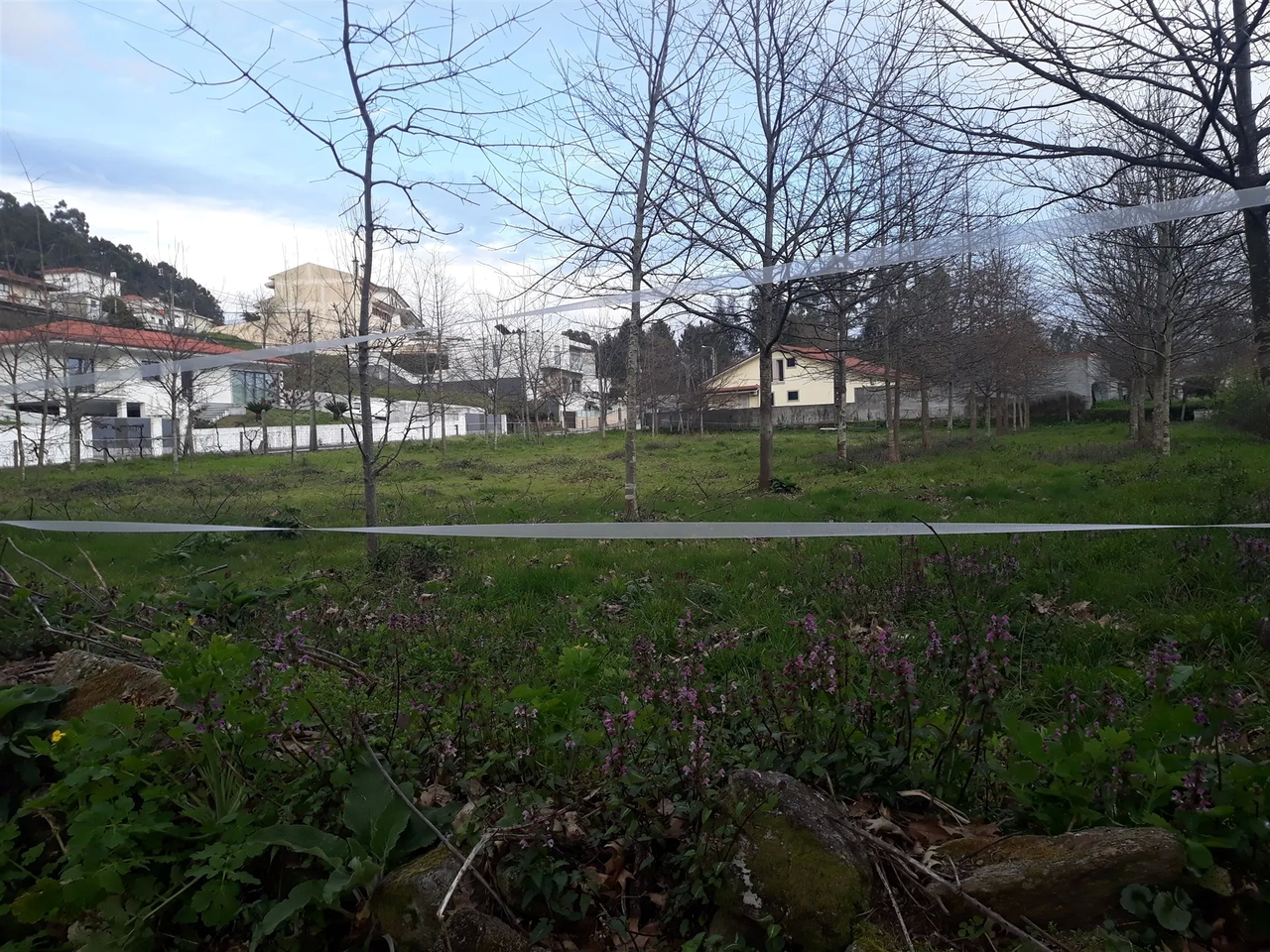 Terreno R�stico - Cesar, Oliveira de Azem�is, Aveiro - Miniatura: 2/5