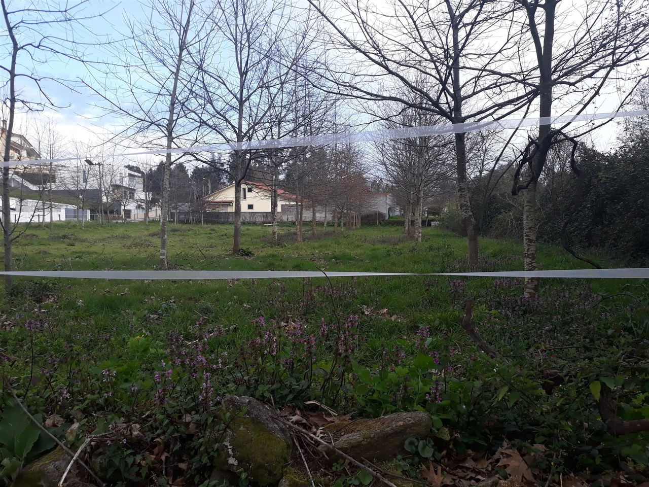 Terreno R�stico - Cesar, Oliveira de Azem�is, Aveiro - Miniatura: 3/5