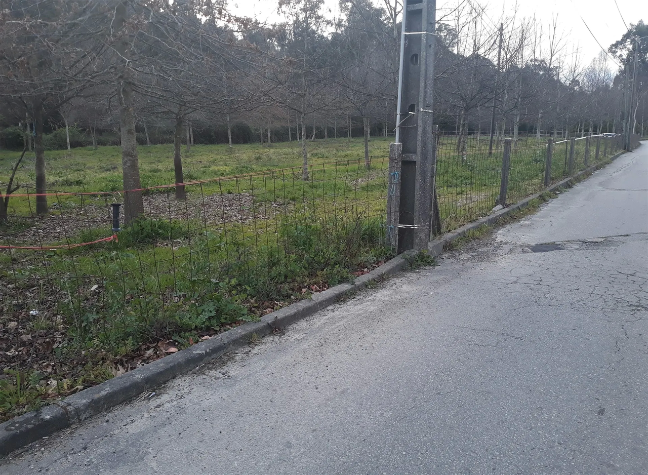 Terreno R�stico - Cesar, Oliveira de Azem�is, Aveiro - Miniatura: 4/5