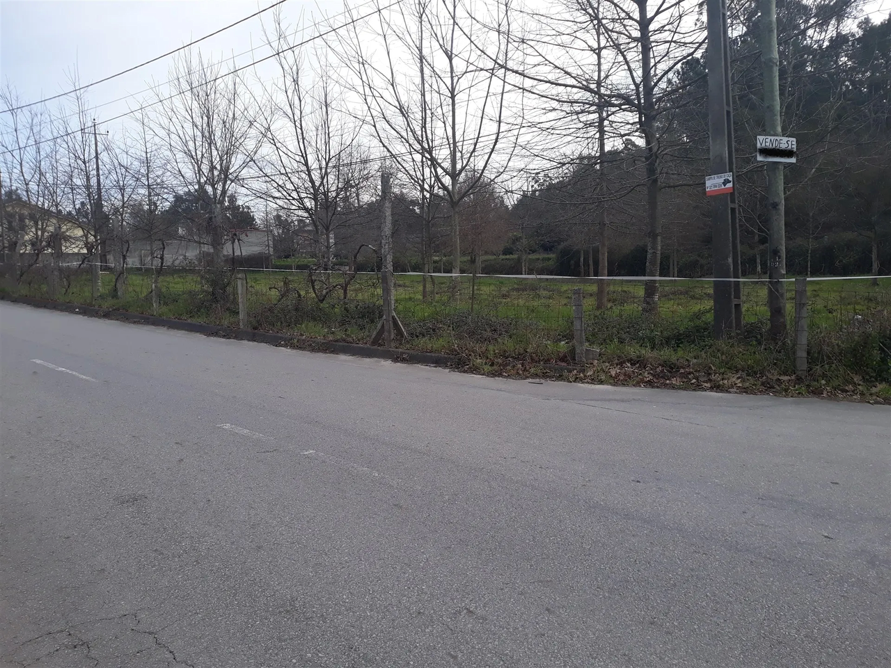 Terreno R�stico - Cesar, Oliveira de Azem�is, Aveiro - Miniatura: 5/5