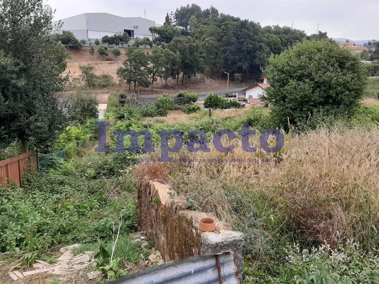 Terreno R�stico - S�o Roque, Oliveira de Azem�is, Aveiro - Miniatura: 1/9