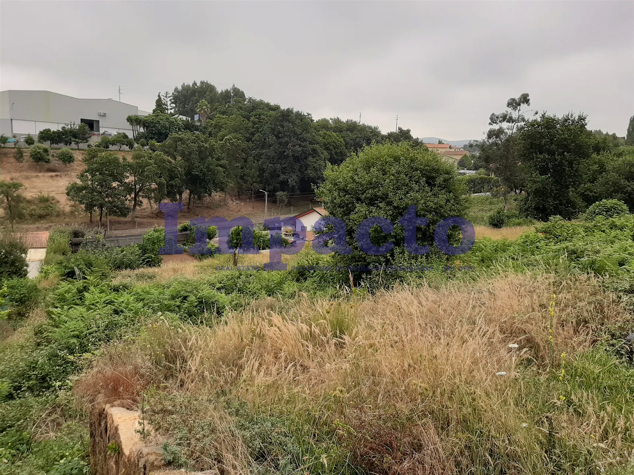 Terreno R�stico - S�o Roque, Oliveira de Azem�is, Aveiro - Miniatura: 3/9