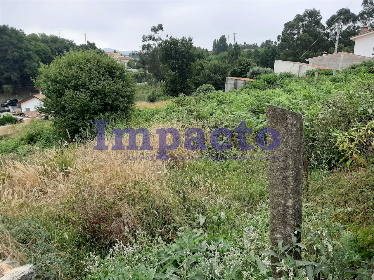 Terreno R�stico - S�o Roque, Oliveira de Azem�is, Aveiro - Miniatura: 4/9