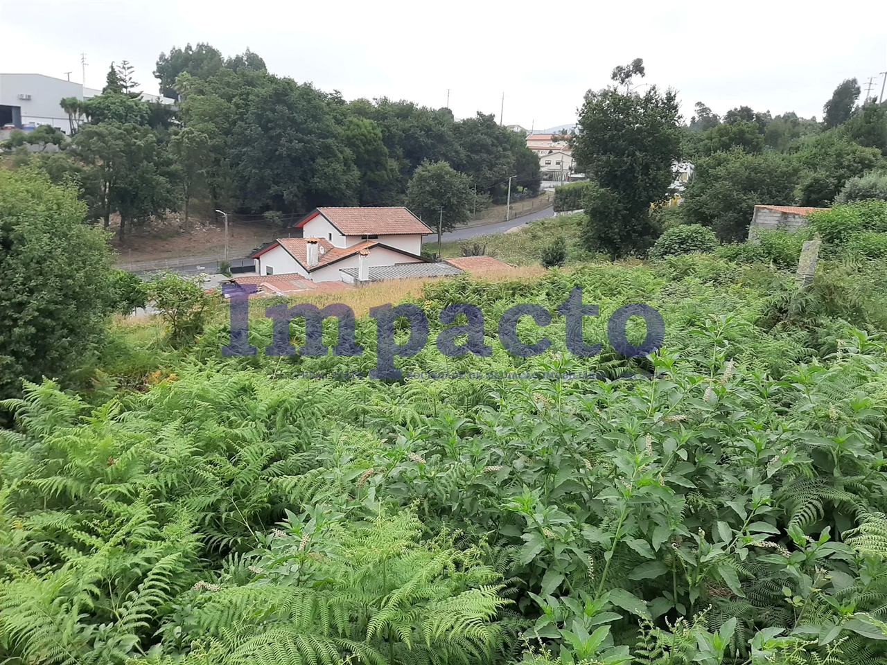 Terreno R�stico - S�o Roque, Oliveira de Azem�is, Aveiro - Miniatura: 5/9