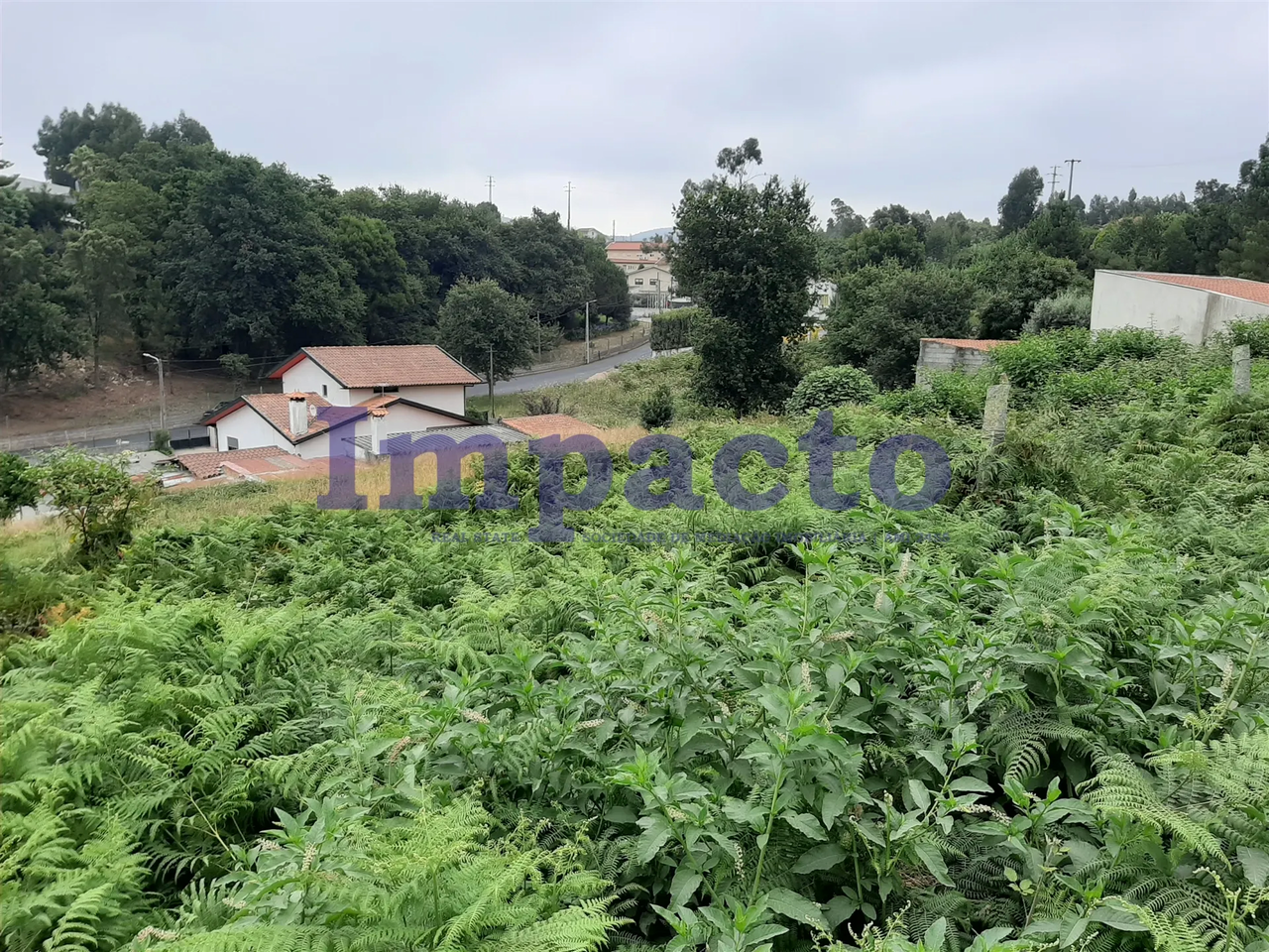 Terreno R�stico - S�o Roque, Oliveira de Azem�is, Aveiro - Miniatura: 6/9