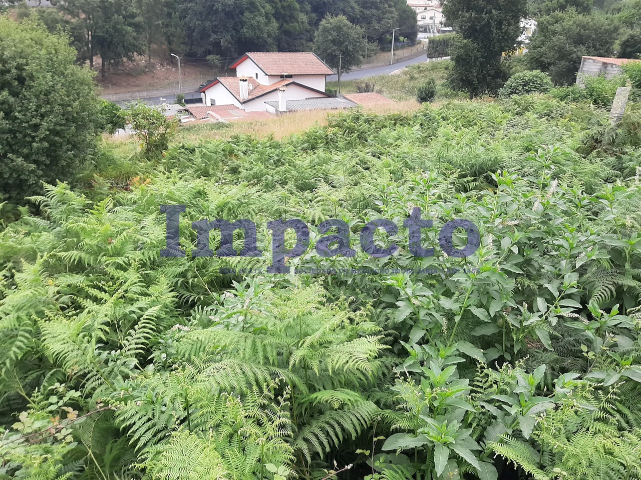 Terreno R�stico - S�o Roque, Oliveira de Azem�is, Aveiro - Miniatura: 7/9