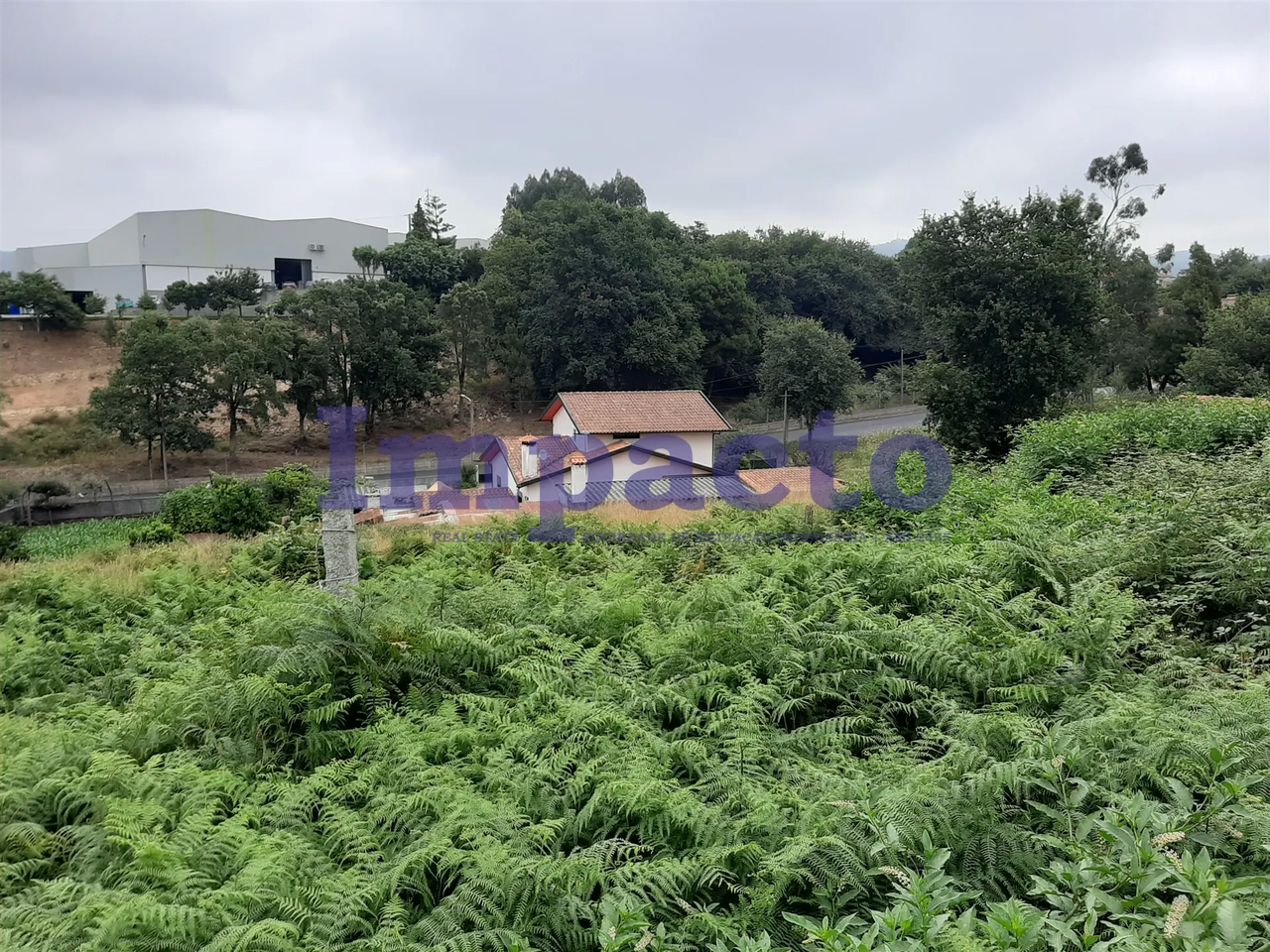 Terreno R�stico - S�o Roque, Oliveira de Azem�is, Aveiro - Miniatura: 8/9