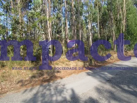 Terreno Rstico - Pigeiros, Santa Maria da Feira, Aveiro - Miniatura: 6/7