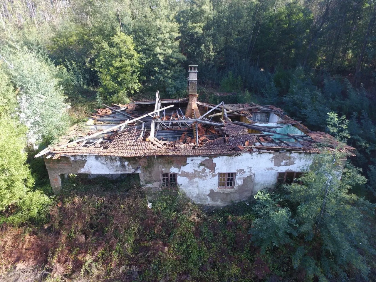 Quinta > T6 - Palmaz, Oliveira de Azemis, Aveiro - Miniatura: 1/9