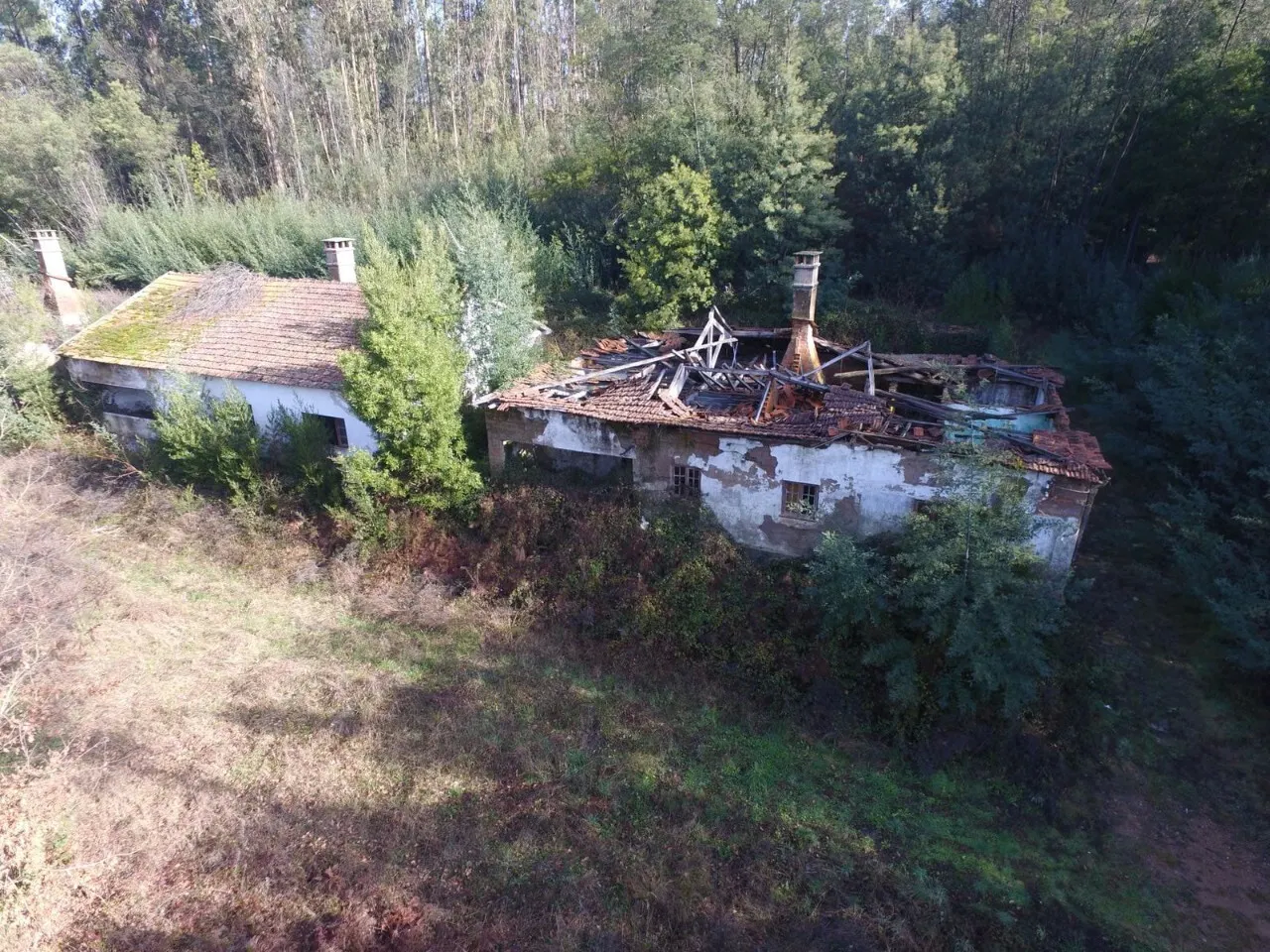 Quinta > T6 - Palmaz, Oliveira de Azemis, Aveiro - Miniatura: 2/9