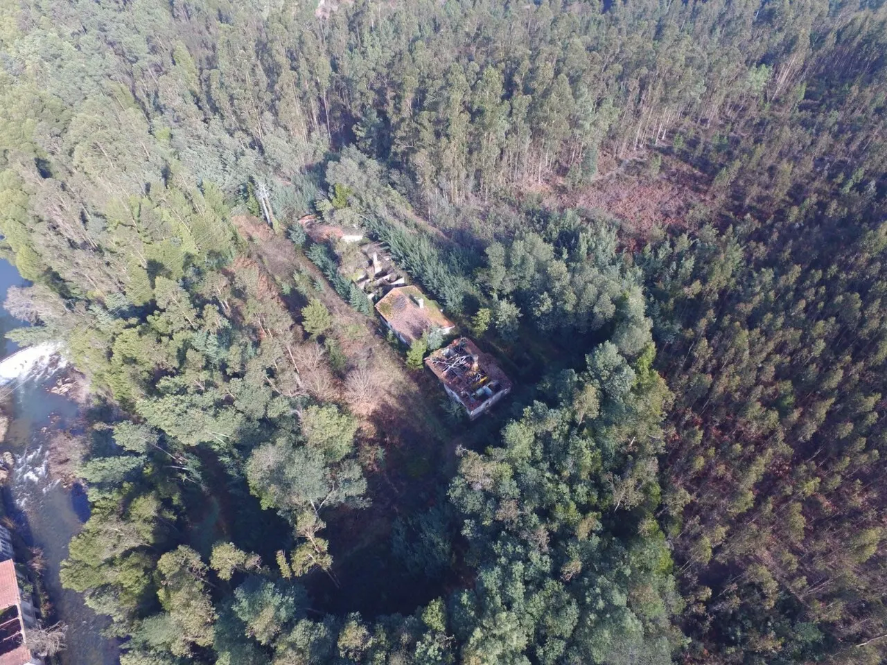 Quinta > T6 - Palmaz, Oliveira de Azemis, Aveiro - Miniatura: 6/9