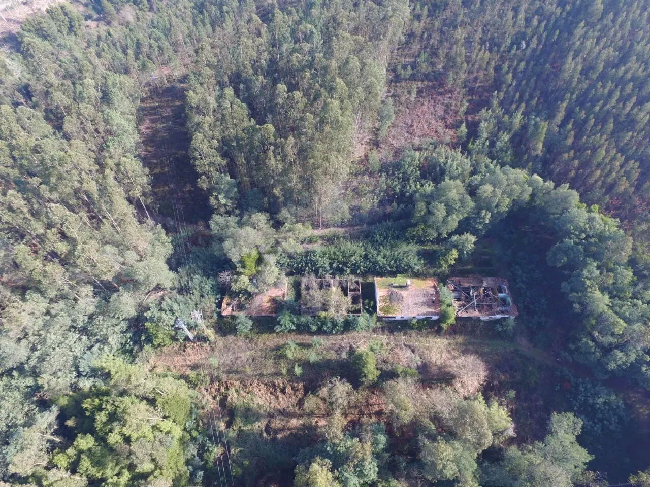 Quinta > T6 - Palmaz, Oliveira de Azemis, Aveiro - Miniatura: 8/9