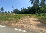 Terreno Rstico - Souto, Santa Maria da Feira, Aveiro - Miniatura: 1/4