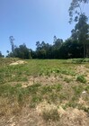 Terreno Rstico - Souto, Santa Maria da Feira, Aveiro - Miniatura: 2/4