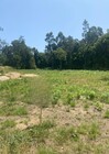 Terreno Rstico - Souto, Santa Maria da Feira, Aveiro - Miniatura: 3/4