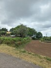 Terreno Rstico - Escariz, Arouca, Aveiro - Miniatura: 5/9