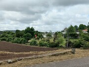 Terreno Rstico - Escariz, Arouca, Aveiro - Miniatura: 7/9