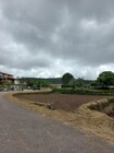 Terreno Rstico - Escariz, Arouca, Aveiro - Miniatura: 9/9