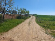 Terreno Rstico - Castro Vicente, Mogadouro, Bragana - Miniatura: 2/9