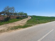 Terreno Rstico - Castro Vicente, Mogadouro, Bragana - Miniatura: 3/9