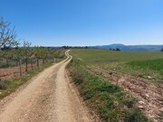 Terreno Rstico - Castro Vicente, Mogadouro, Bragana - Miniatura: 5/9