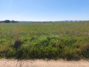 Terreno Rstico - Castro Vicente, Mogadouro, Bragana - Miniatura: 7/9