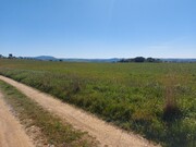 Terreno Rstico - Castro Vicente, Mogadouro, Bragana - Miniatura: 8/9