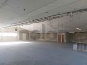 Armazm - Romariz, Santa Maria da Feira, Aveiro - Miniatura: 8/8