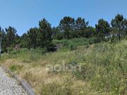 Terreno Rstico - Mozelos, Santa Maria da Feira, Aveiro - Miniatura: 9/9