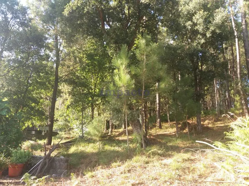 Terreno Rústico T0 - Escariz, Arouca, Aveiro - Imagem grande