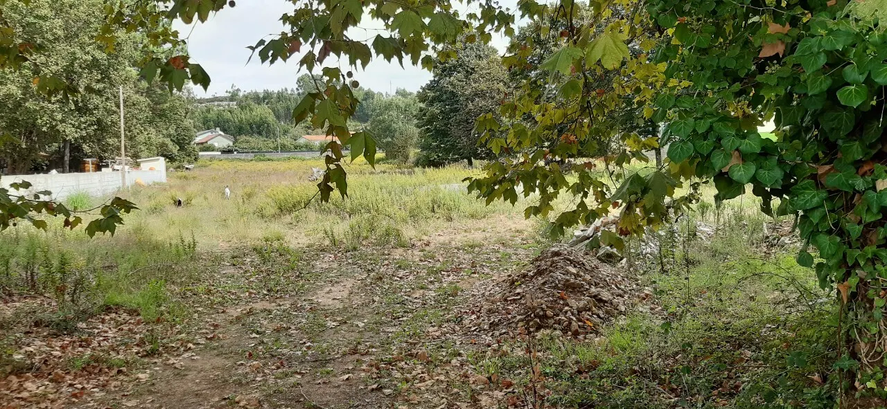 Terreno R�stico - S�o Roque, Oliveira de Azem�is, Aveiro - Imagem grande