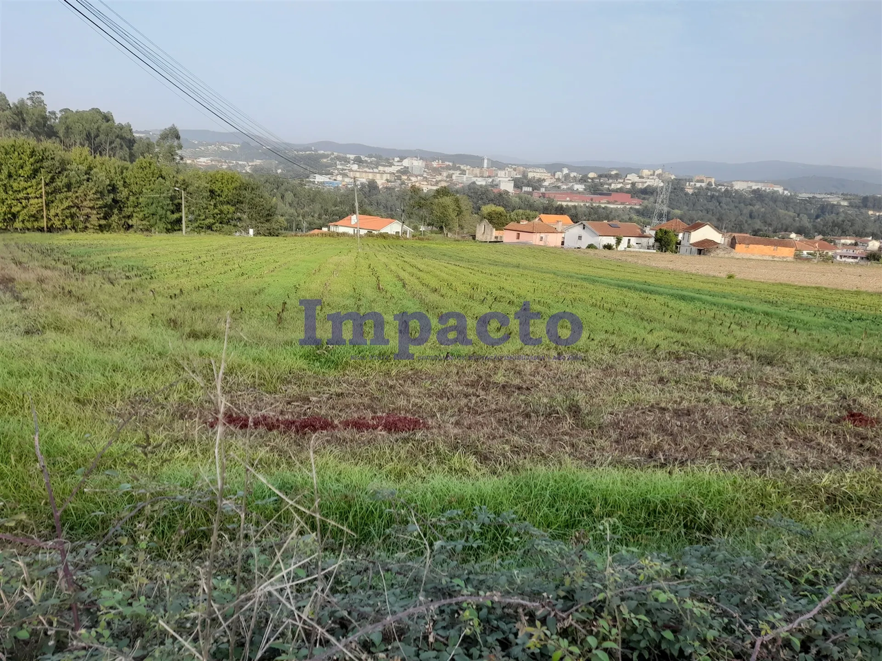 Terreno R�stico - Oliveira de Azemeis, Oliveira de Azem�is, Aveiro