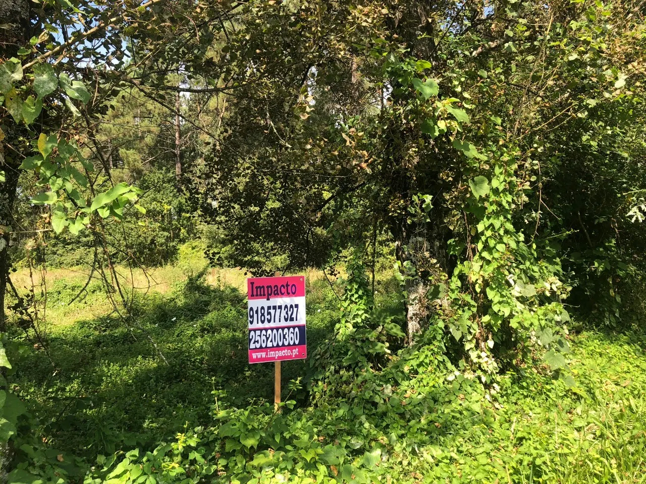 Terreno R�stico - Pigeiros, Santa Maria da Feira, Aveiro