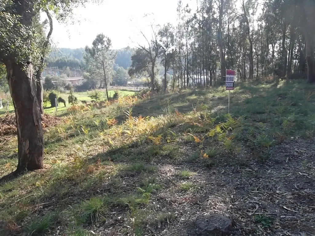 Terreno R�stico - Pindelo, Oliveira de Azem�is, Aveiro