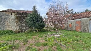 Moradia T2 - Macieira de Sarnes, Oliveira de Azem�is, Aveiro