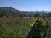 Terreno Rstico T0 - Vilar de Ossos, Vinhais, Bragana - Miniatura: 5/8
